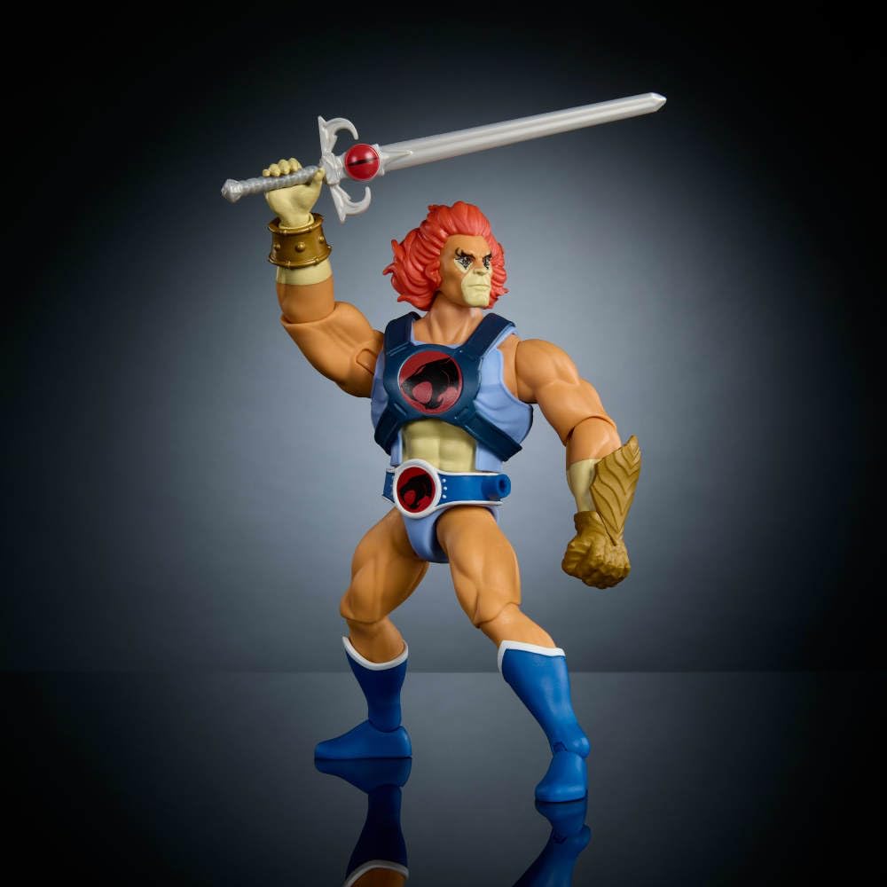 Amazon.com: Masters of The Universe Origins & Thundercats Action